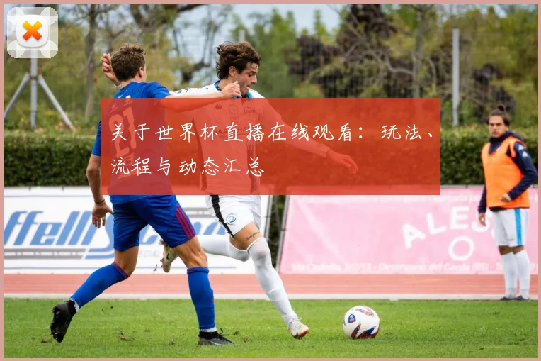 关于世界杯直播在线观看：玩法、流程与动态汇总